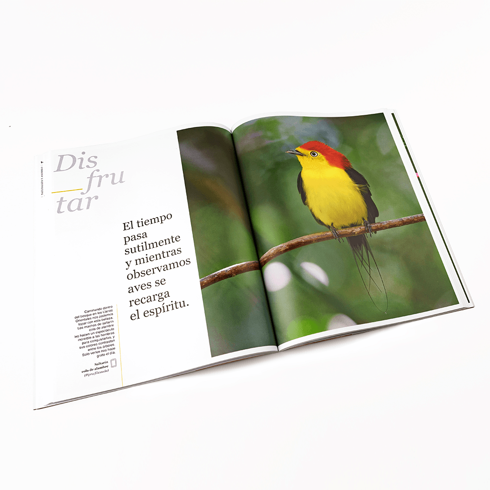 Libro naturaleza y asombro celsia reverdec tienda celsia
